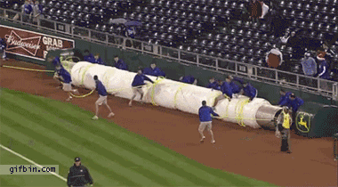[Image: 1303149589_guy-gets-steamrolled-by-tarp.gif]