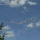 Tree branch falls on power lines