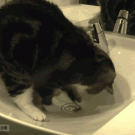 Maru vs. with sink plug hole
