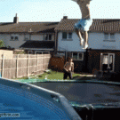 Epic trampoline swimming pool backflip nut shot