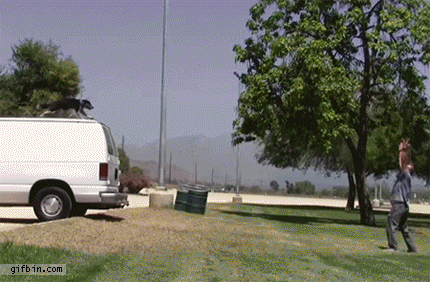 1365098325_dog_jumps_off_van_ion_slowmotion.gif