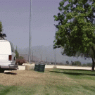 Dog jumps off van ion slow-motion