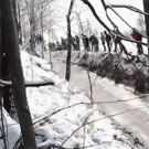 Rally car slipping win