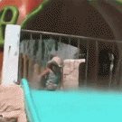 Little girl poops self on water slide