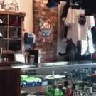 Cat jumps in mirror