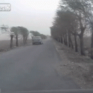 Lightning destroys tree