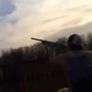 Falling bird nut shot