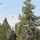 Zipline break fail accident