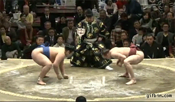 1428758501_sumo_wrestler_dodge_takanoyama_shuntaro.gif