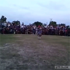 1430157642_rodeo_backflipping_fail.gif