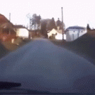 St. Bernard drags kid across road