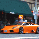 Biker rides over Lamborghini