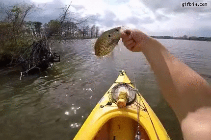Fish jumps back into fisherman's kayak