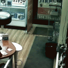 Dog breaks glass door