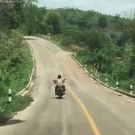 Snake attacks biker on the road