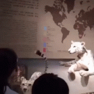 Lion at museum