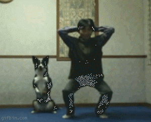 1243328874_owner-dog-workout.gif