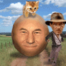Picard vs. Indiana Jones vs. kitten
