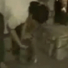 Spider cat, spider cat...