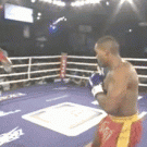 Head-kick KO