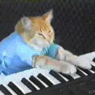 Keyboard Cat