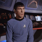 Spock's eyebrow
