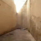 Parkour - climbing on walls