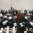 Parliament fight: women's edition