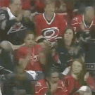 Hockey audience