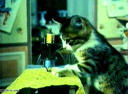 Kitten sewing machine