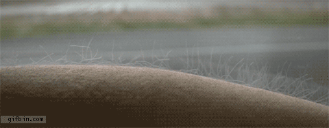 How To Flip Cars >> Arm Hair Raising | Best Funny Gifs Updated Daily How To Flip Cars >> Arm Hair Raising | Best Funny Gifs Updated Daily