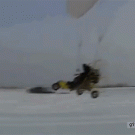 Car roof landing gone wrong