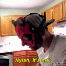 Darth Maul mask vs. cat