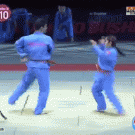 Spectacular Vovinam demonstration