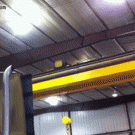 Bird comes out of trucks exhaust