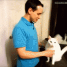 Cat hug
