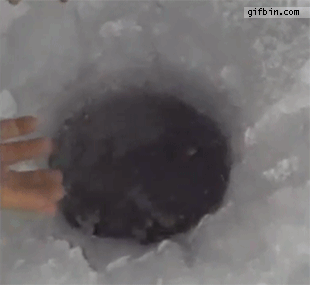 1372354385_fish_comes_up_ice_fishing_hole.gif