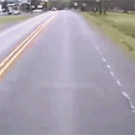 Deer ends up trapped in bus after being hit by it