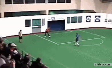 1400521373_goalie_throws_owngoal.gif