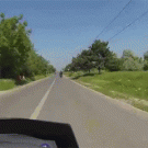 Biker vs. horse close call