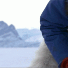 Fisherman gets a big surprise when Ice Fishing in Greenland
