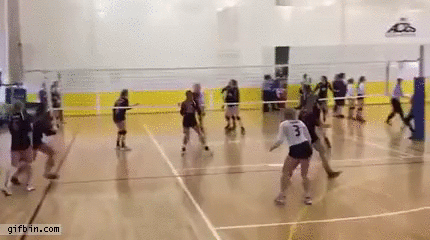 Image result for funny gifs of volleyball