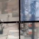 Dog catches running thief by the balls