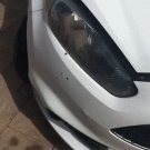 Quail stuck in headlight