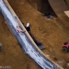 Big slip 'n slide jump