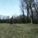 Bicycle faceplant