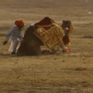 Bedouin owned by camel