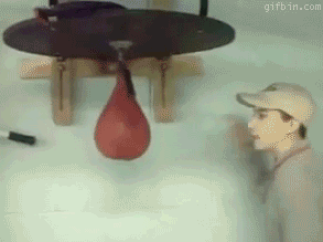 1277193579_kid-owned-by-punching-bag.gif