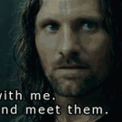 Lord of the Rings vuvuzela