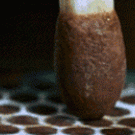 Match lighting in super slow-motion